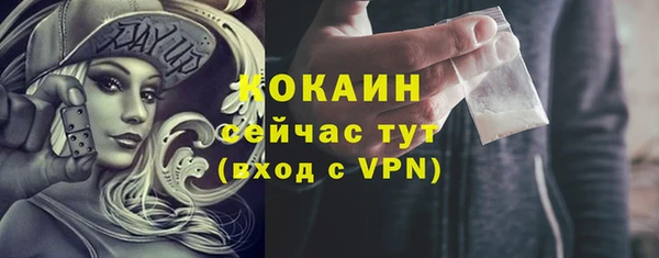 хмурый Нея