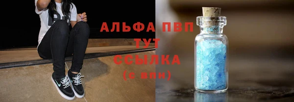 хмурый Нея