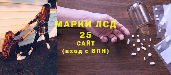 хмурый Нея
