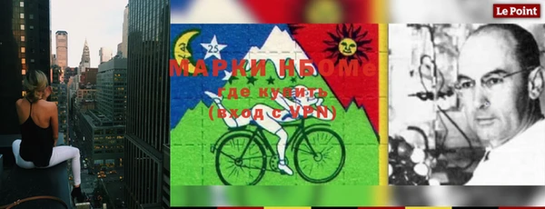 хмурый Нея