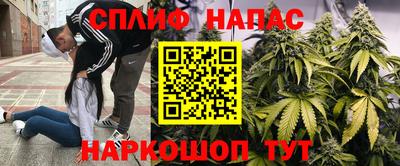 гашик Славгород