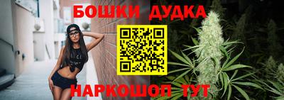 крисы Сланцы