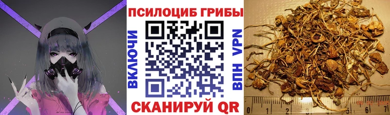 Галлюциногенные грибы Psilocybine cubensis  mega ссылка  Свободный  даркнет сайт 