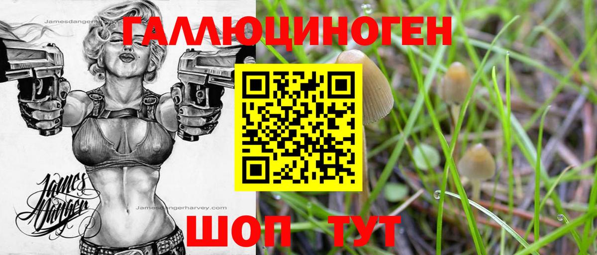 Псилоцибиновые грибы прущие грибы Свободный