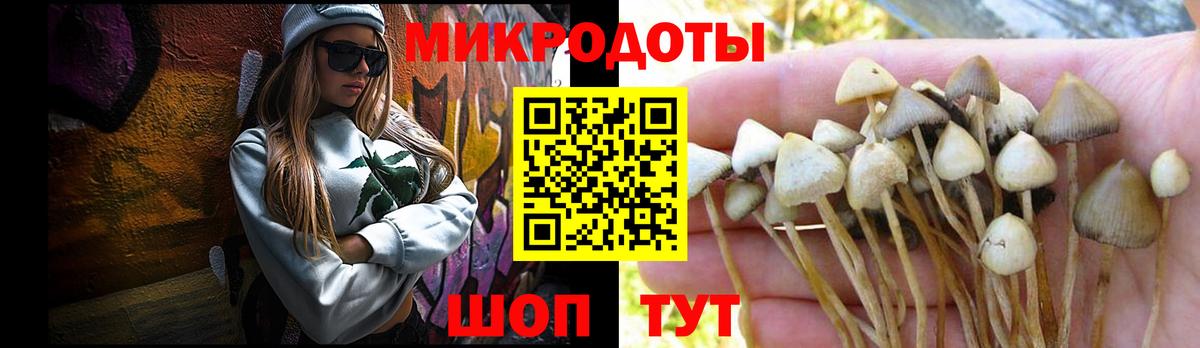 Псилоцибиновые грибы ЛСД  Галлюциногенные грибы Magic Shrooms  Вход с VPN  Свободный 